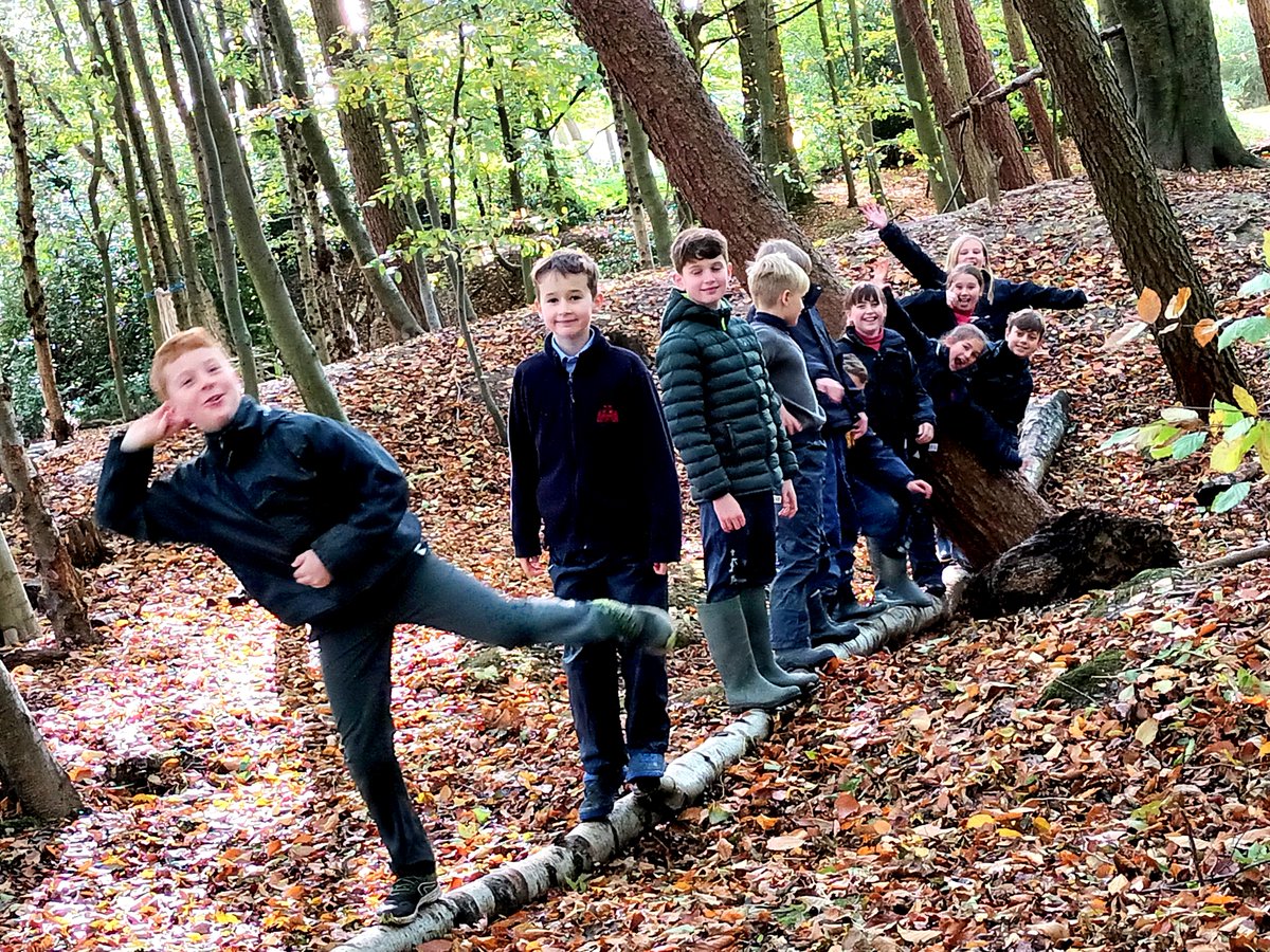 OPSForest's tweet photo. Fun exploring Autumn https://t.co/rUtfHrIRB2