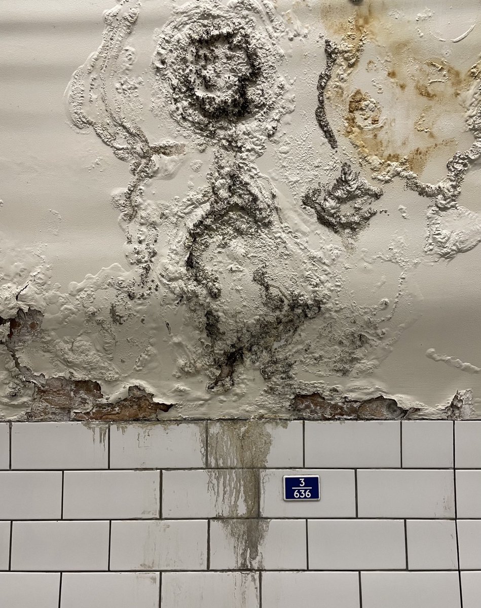 joannaofottawa's tweet image. Lancaster Gate tube station. West London. #LondonTube #LancasterGate #peelingpaint #walls #patterns