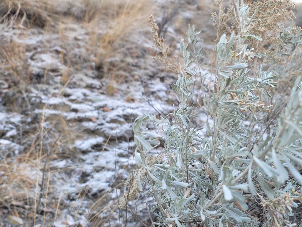 Winter is bringing us crisp and frosty mornings and snow dusted mountain tops. During your travels, remember to #KnowBeforeYouGo by checking weather and road conditions. Check out our events page for Christmas events near you. 
#StaySafe #StayHealthy #SupportLocal #goldcountrybc