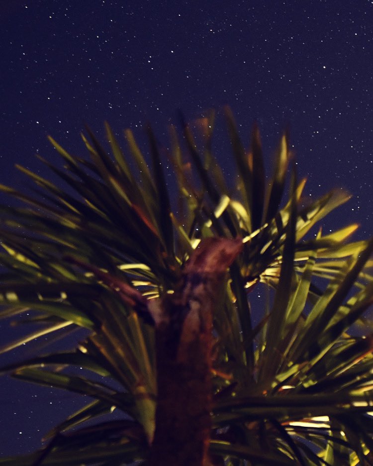 davuu's tweet photo. Have some non plane photobombing photos, I took from my parents garden once the rain finally stopped! Some came out a bit purple ๐ still learning my settings. #astrophotography #ineedmorepractice ๐โญ๏ธ https://t.co/daxe9gVXtf