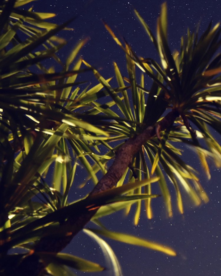 davuu's tweet photo. Have some non plane photobombing photos, I took from my parents garden once the rain finally stopped! Some came out a bit purple ๐ still learning my settings. #astrophotography #ineedmorepractice ๐โญ๏ธ https://t.co/daxe9gVXtf