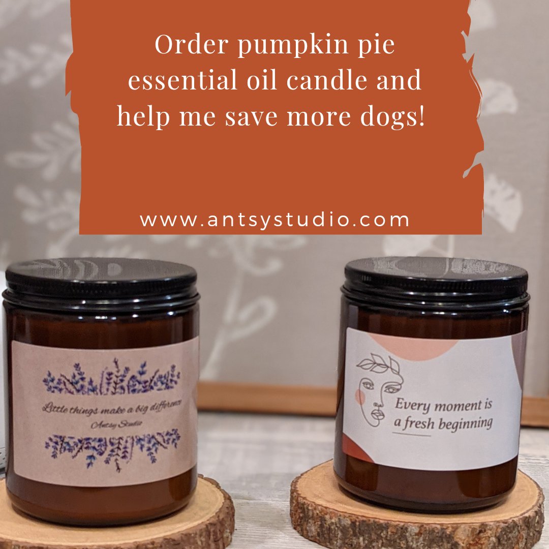 antsystudio.com