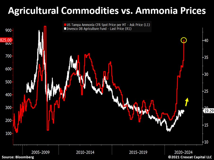 TaviCosta's tweet image. A domino effect.

The steep rise in Ammonia prices suggests agricultural commodities are the next ones to move.