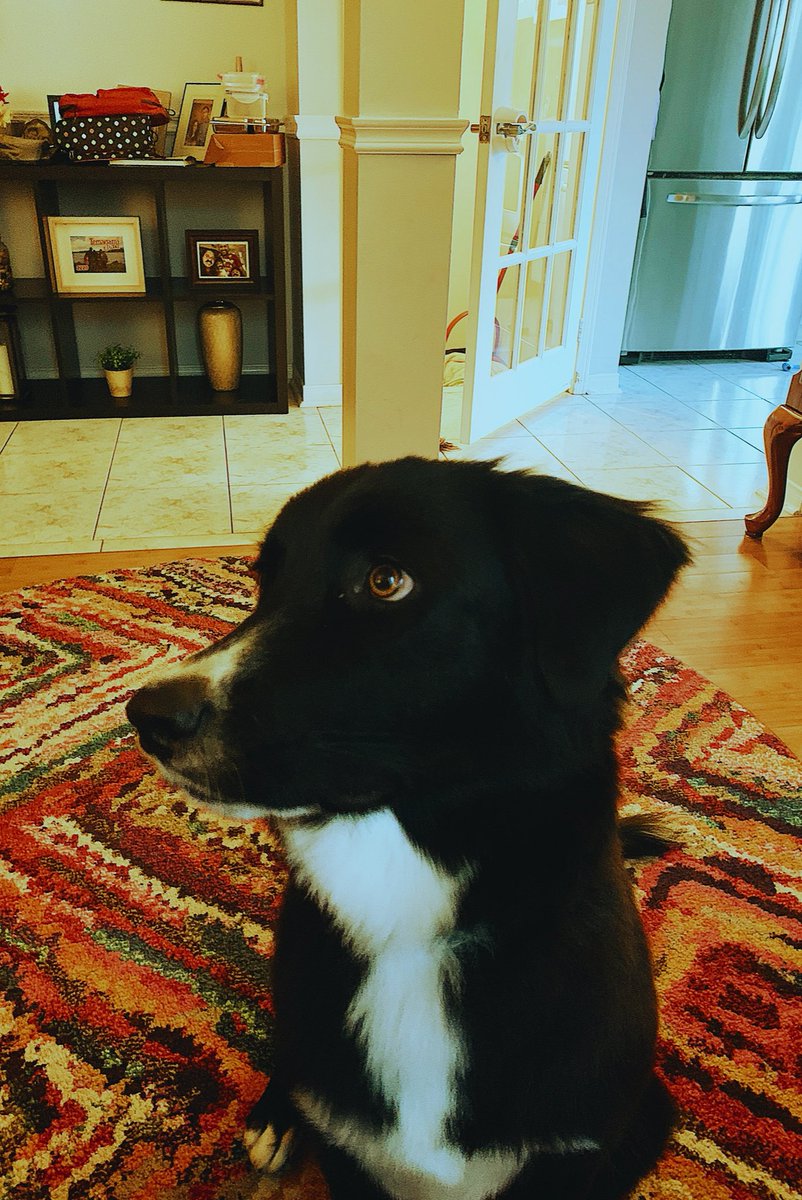 amithpm's tweet image. 