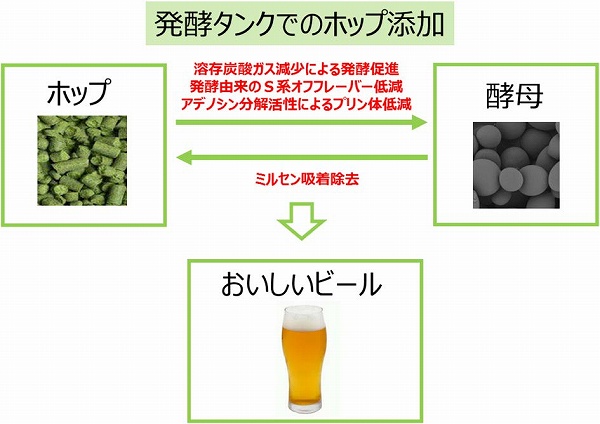日本農芸化学会 Nougeikagakukai Twitter