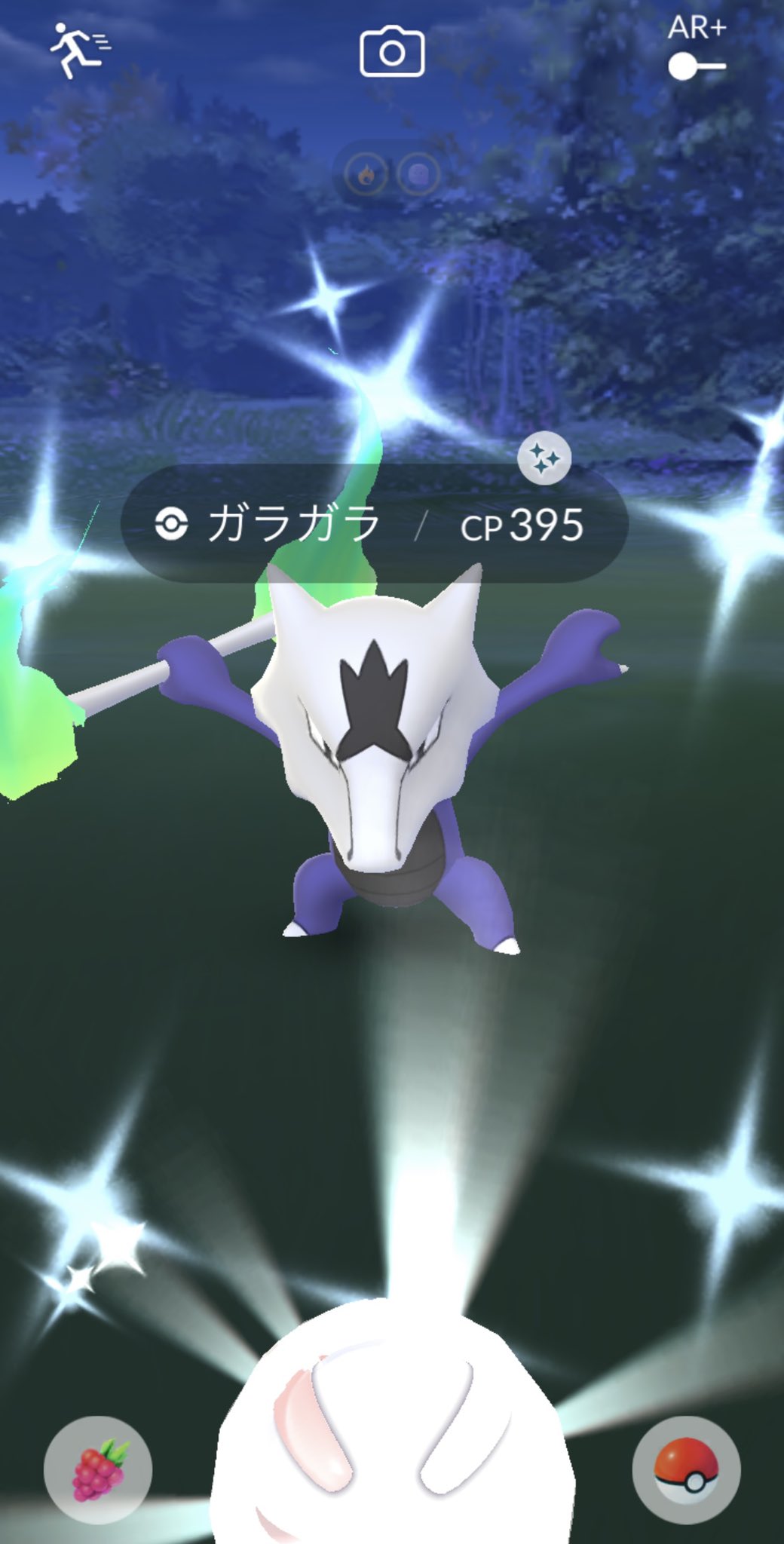 色違いアローラガラガラ Twitter Search Twitter