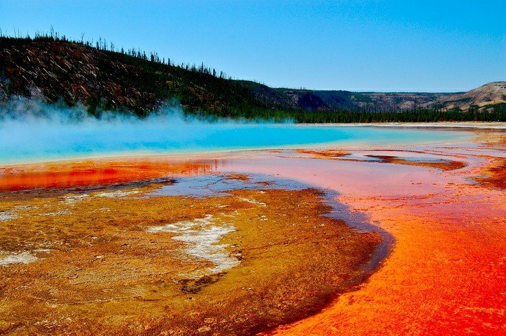 Woman/Mother73 tweet media