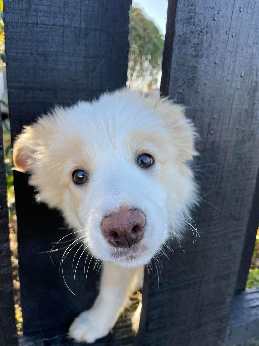 This is Coach. She overheard you say something about the neighbor being a good girl. Just checking if that was about her. 12/10