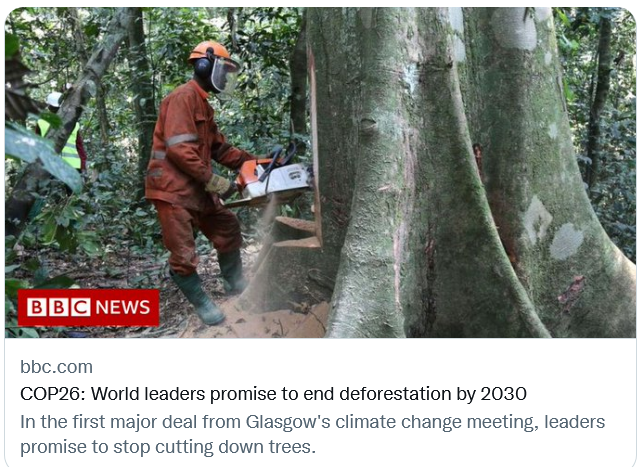 🌳 Save Bonds Meadow 🌳 tweet media