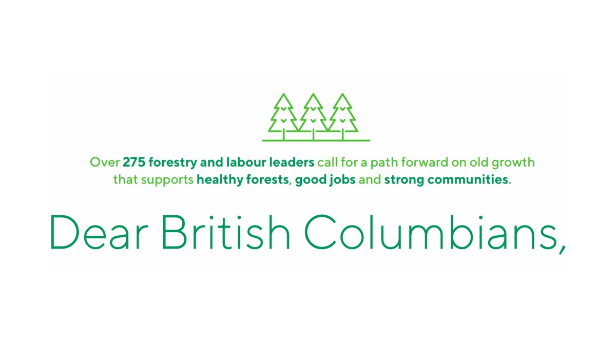 An important conversation about old growth is happening across BC, a positive path forward is possible that supports people, communities and the 🌎. Read more ➡️cofi.org/wp-content/upl…