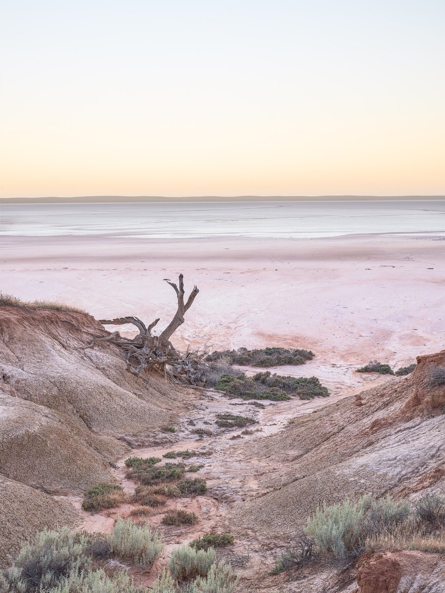 wolfnitch's tweet photo. Saline lakes make up 44% of the surfaces of all lakes. They are crucial in balancing climate. Award winning photos available as art prints. More 👉 https://t.co/bnHU3tEO26
#ClimateAction #WallArt #NaturePhotography #FightClimateChange #AddressClimateChange #Artwork https://t.co/7ZWAfXFgQK