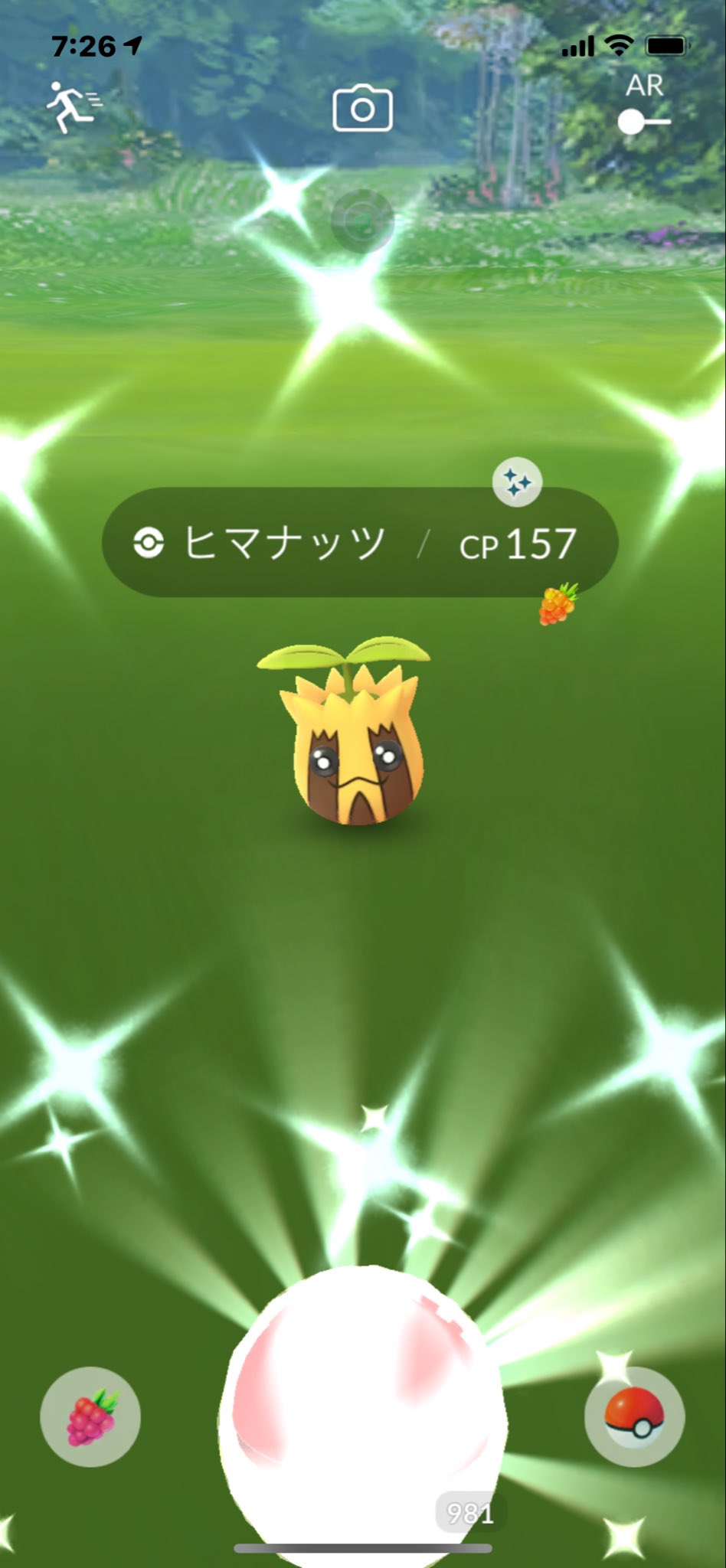 色違いヒマナッツ Twitter Search Twitter