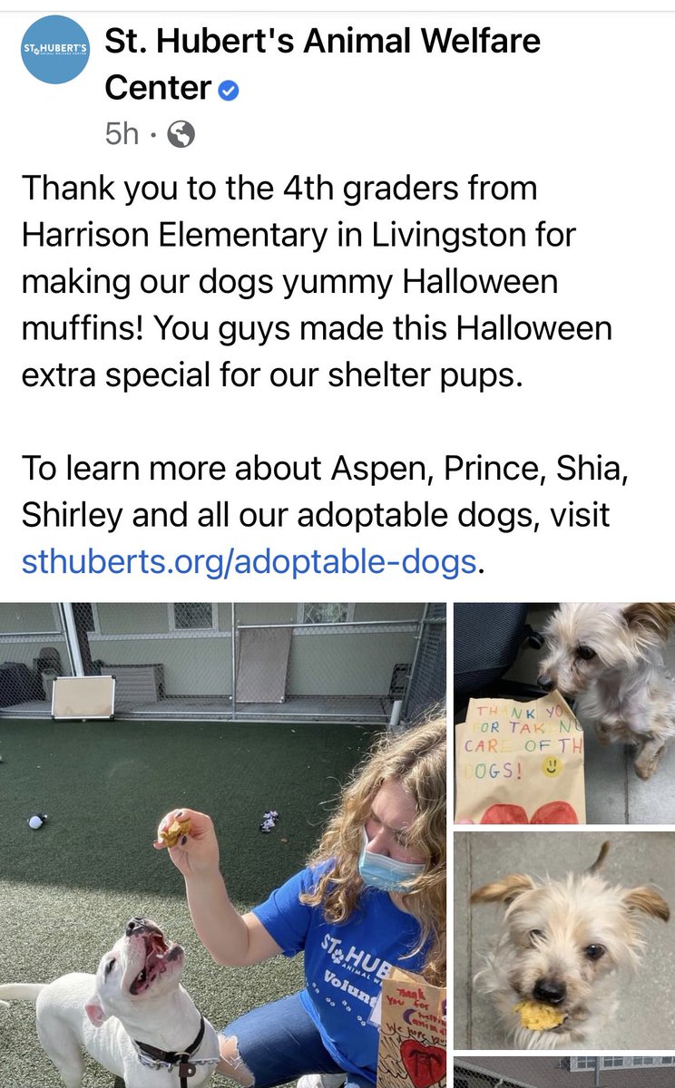 Our 1st Character Connection hands-on project was baking pup treats for a local dog shelter.  Looks like the dogs loved their Halloween Treats! #helpingothers #serviceproject <a href="/DocsFlock/">Miss Daugherty</a> <a href="/ScullysSquad/">Miss Scully</a> <a href="/HarrisonHawks90/">HarrisonHawks90</a>