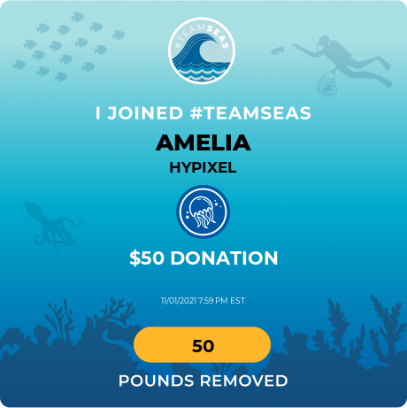 Clean oceans are pretty epic #TeamSeas