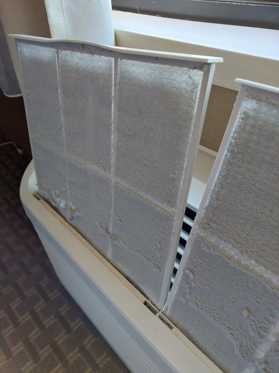 GNNotebook's tweet photo. @ExcaliburVegas this is what we found in our room last week. When we contacted the front desk and asked them to come clean it or we would call the health department we were told, "we dont care what you do." Awful room and horrible customer service. https://t.co/GLoYD8jpFT