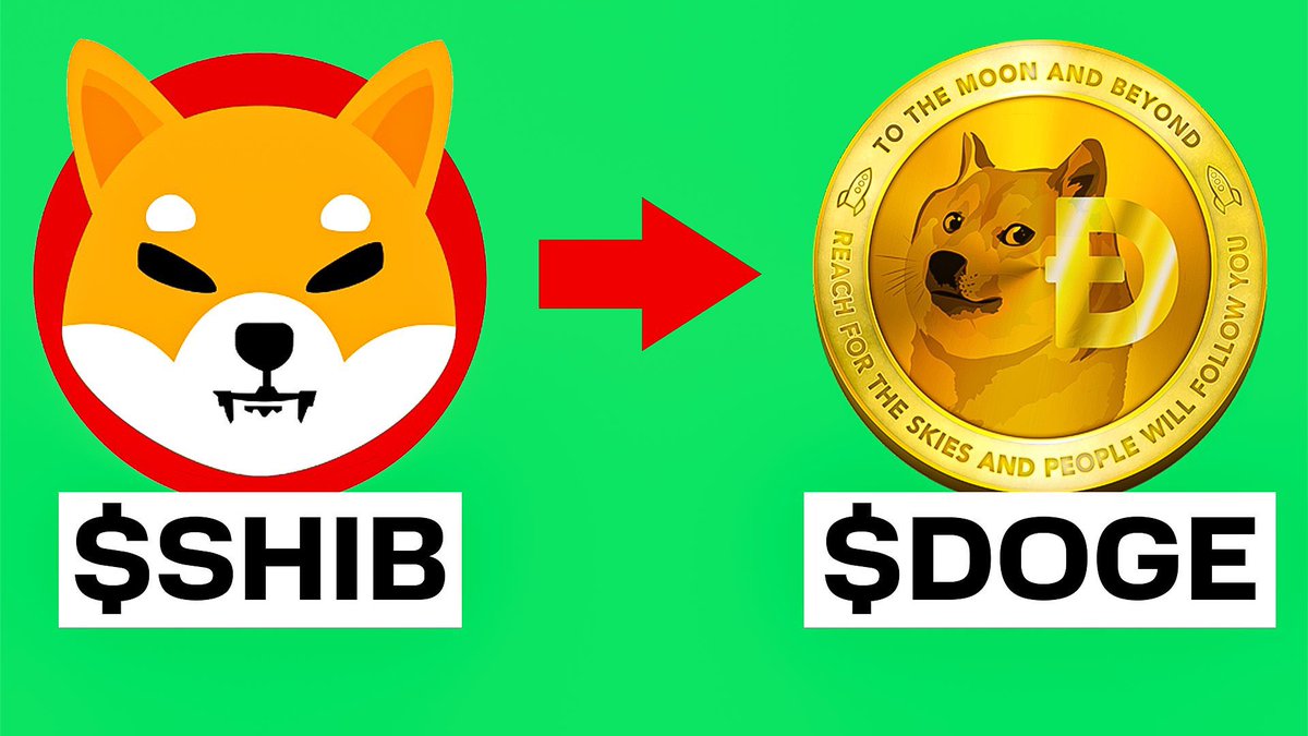 How #Shib passed #Doge! 

Watch Now 👉 youtu.be/nEvlbr71Brw