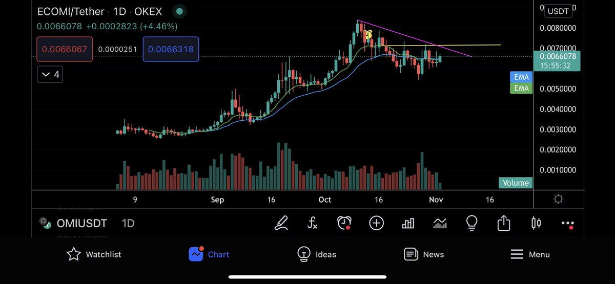 Eunicedwong's tweet photo. Found this super low radar #OMI on @OKEx 
The shape is there, good opportunity IMO #ECOMI https://t.co/Lfahbz7PzL