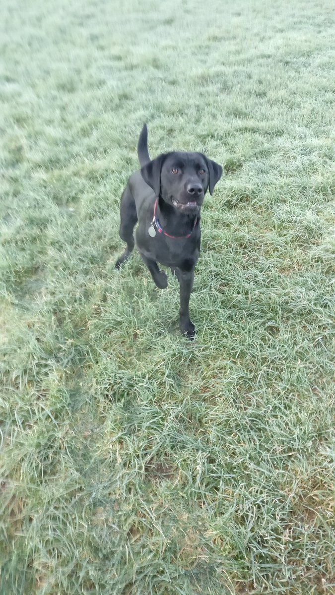 Edgie6171's tweet photo. @rickygervais Be lost without my best mate. https://t.co/l5zRaYLxxS