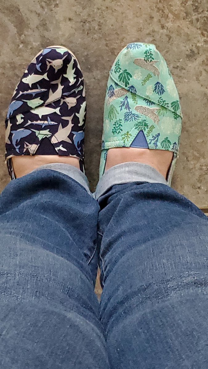 Mrs_Zeeb's tweet photo. @SHS_Samson @Shark_Bako @SantiagoSharks Miss matched shark Toms! https://t.co/WPNvufGQYA