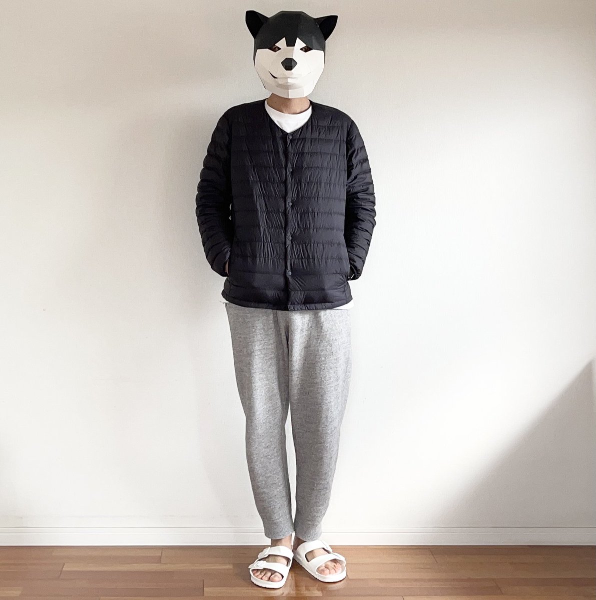 minimalist_butu's tweet photo. On some chilly days, the clothes I spend at home have changed. UNIQLO sweat ankle pants, AIRism cotton UV cut crew neck T, and ultra light down compact jacket (purchased in 2019). This is comfortable these days.
#minimalist
#Uniqlo
#Ultralightdown https://t.co/FclHSmwhS1