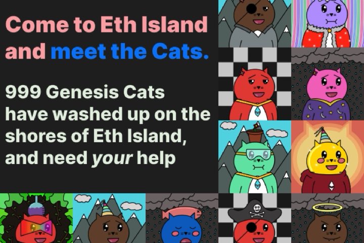 Communal Cats tweet media