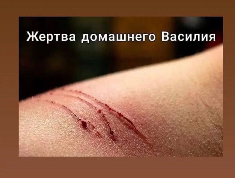 Vasya_Bashmakov's tweet photo. https://t.co/isYMZh0FSr