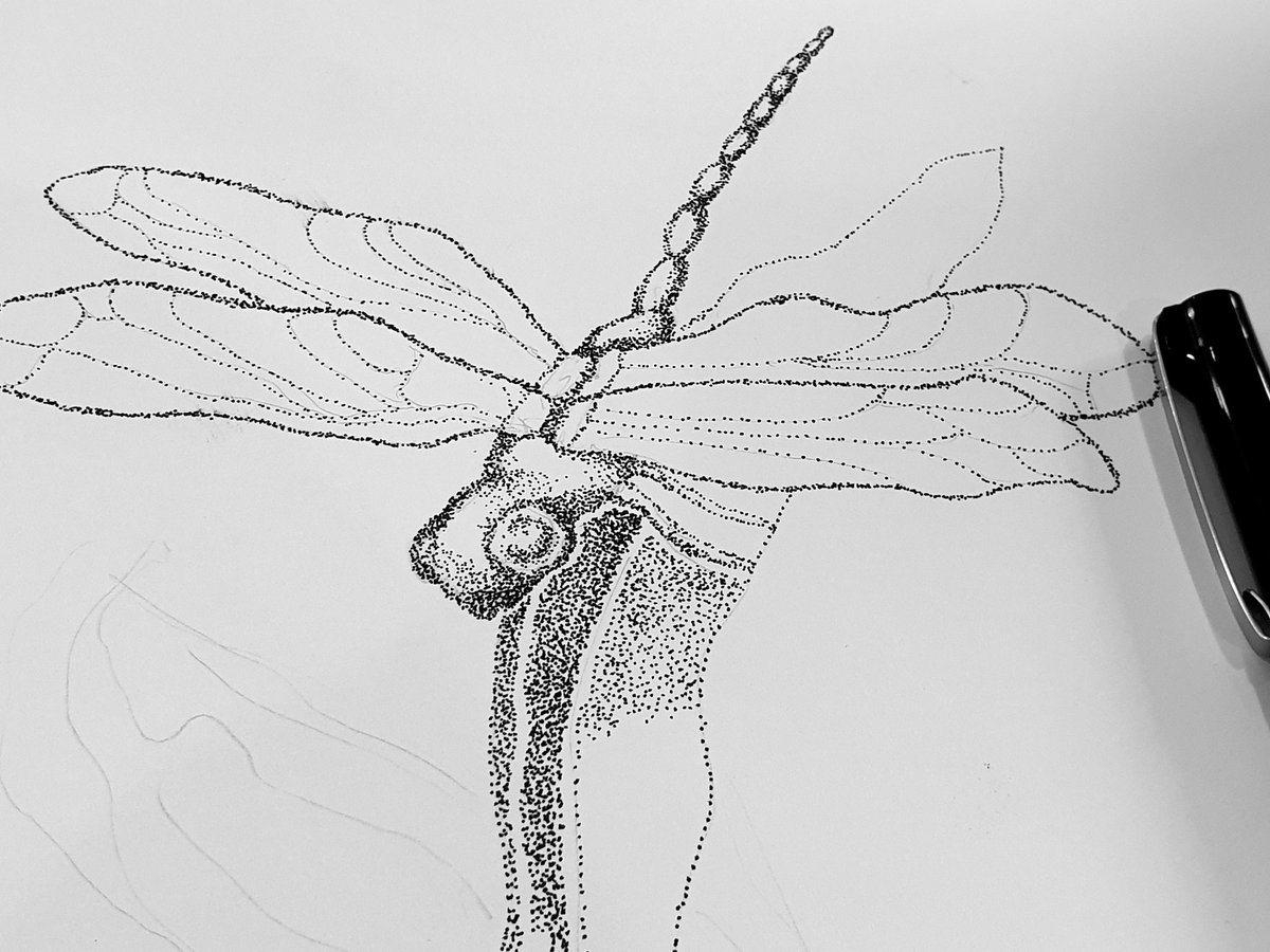 JintyandRayne's tweet photo. Stippling with ACH Group at Partridge House
#art #adelaide #southaustralia #australia #postcode5158 #privateartlesson #privatetutor #ink #pen #stippling #dragonfly #artislife #hallettcovebeach #supportlocal #adelaideartist #southaustralianartist https://t.co/X9rXB2eAFI
