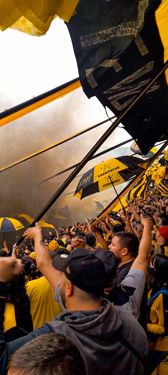 Fedee_1891's tweet photo. La fiesta siempre fue nuestra 🖤💛
@lpdp7663oficial https://t.co/g5hBbJb3xY