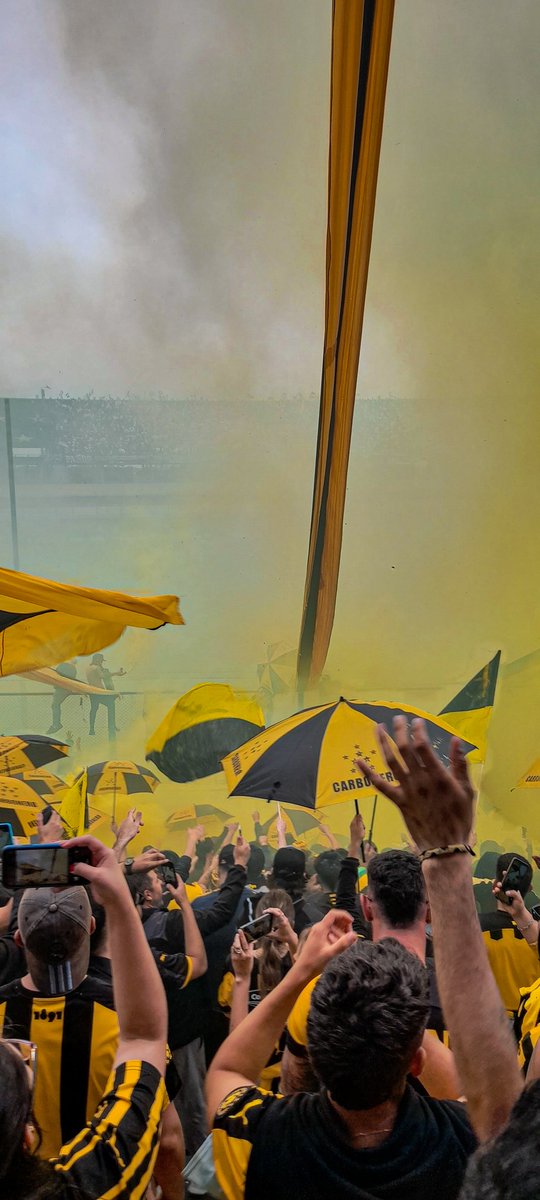 Fedee_1891's tweet photo. La fiesta siempre fue nuestra 🖤💛
@lpdp7663oficial https://t.co/g5hBbJb3xY