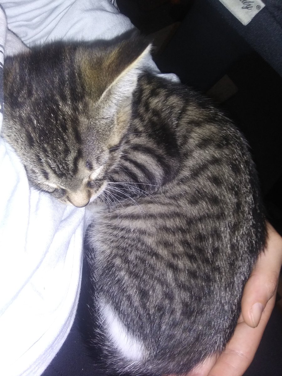 smackies tweet media