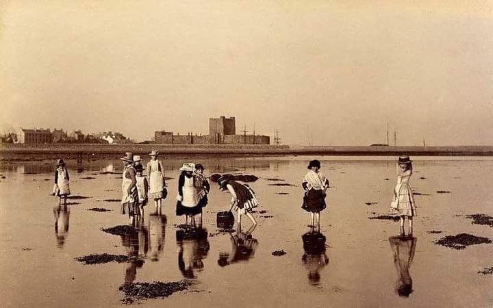 Carrick_Girl's tweet photo. What a brilliant photograph of what looks like a team collecting whelks in the low tide off Carrickfergus dated 1888.
Absolutely amazing how sharp it is for such an old picture.
#LiveHere #LoveHere #Carrickfergus
From the History Daily. https://t.co/y5cRxNrV53