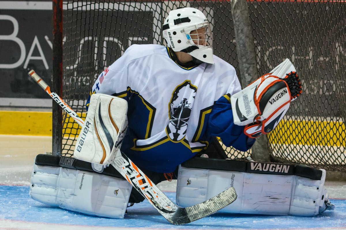 Gold In The Net tweet media