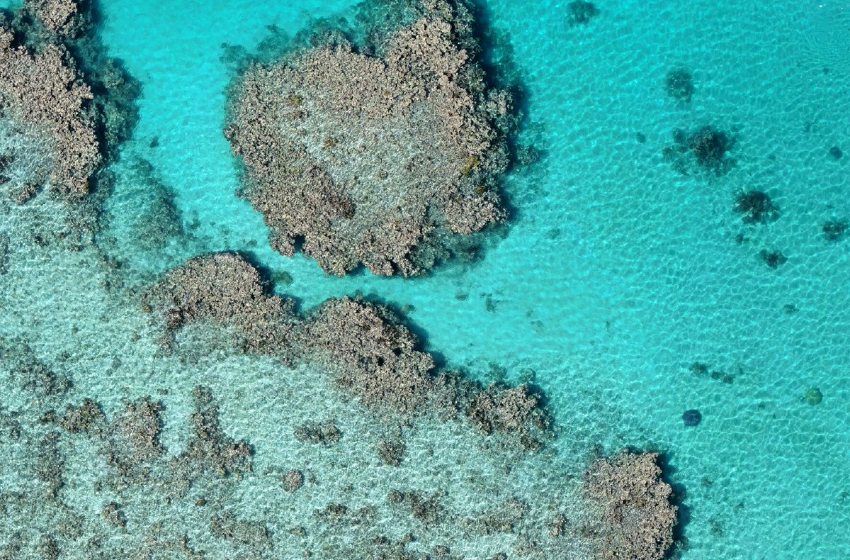 GeoNadir tweet media