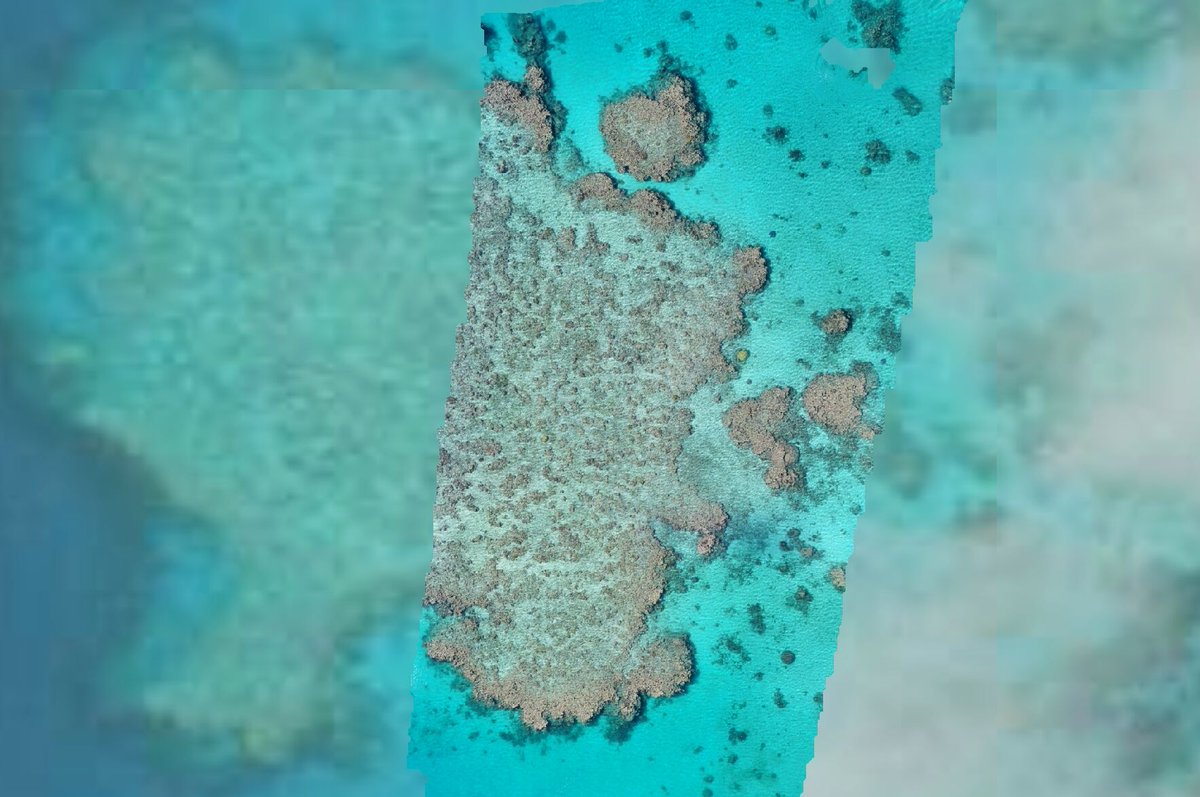 GeoNadir tweet media