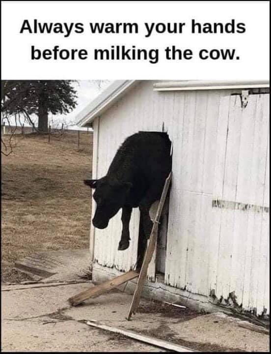 FunnyMaison's tweet photo. https://t.co/dR4oY11kBK