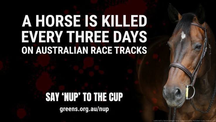 Kelly Canby tweet media