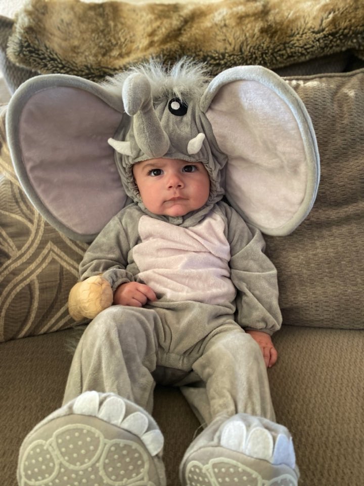 byrdcaty's tweet photo. Does it get any cuter? https://t.co/LhBl28R3RV