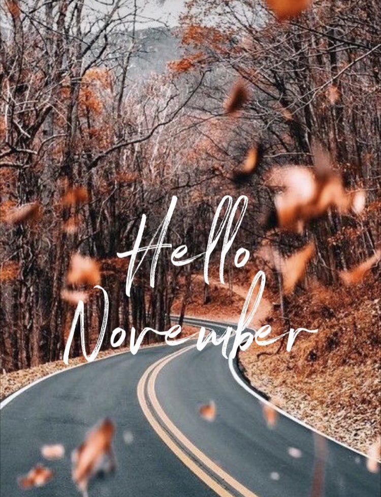 brittanylea's tweet photo. #November https://t.co/IrqLDN8ZVs