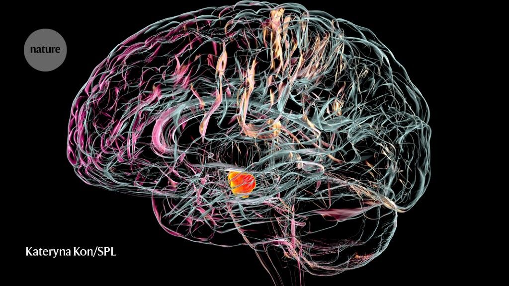 Brain & Mind Centre tweet media