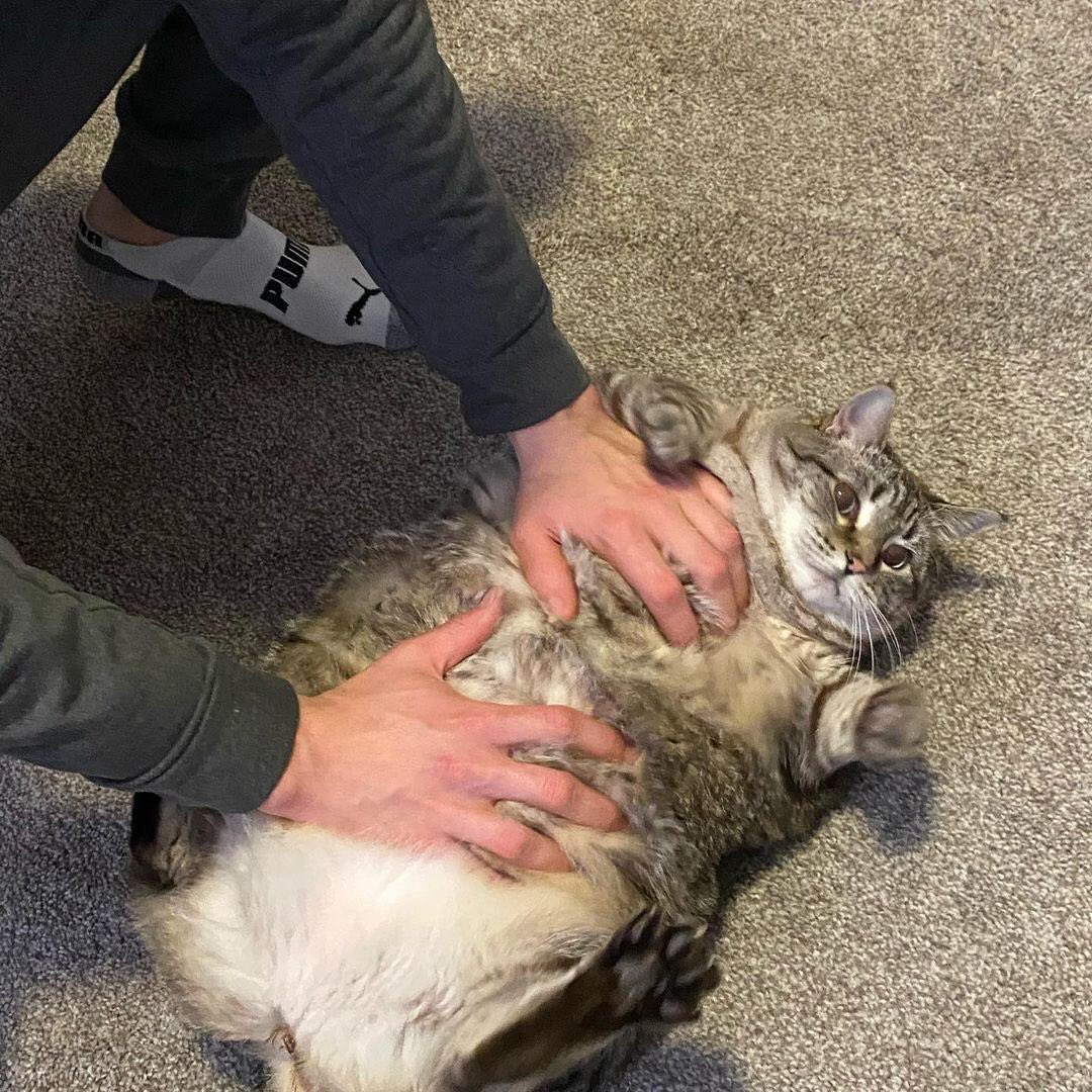 Michael Kurylo tweet media