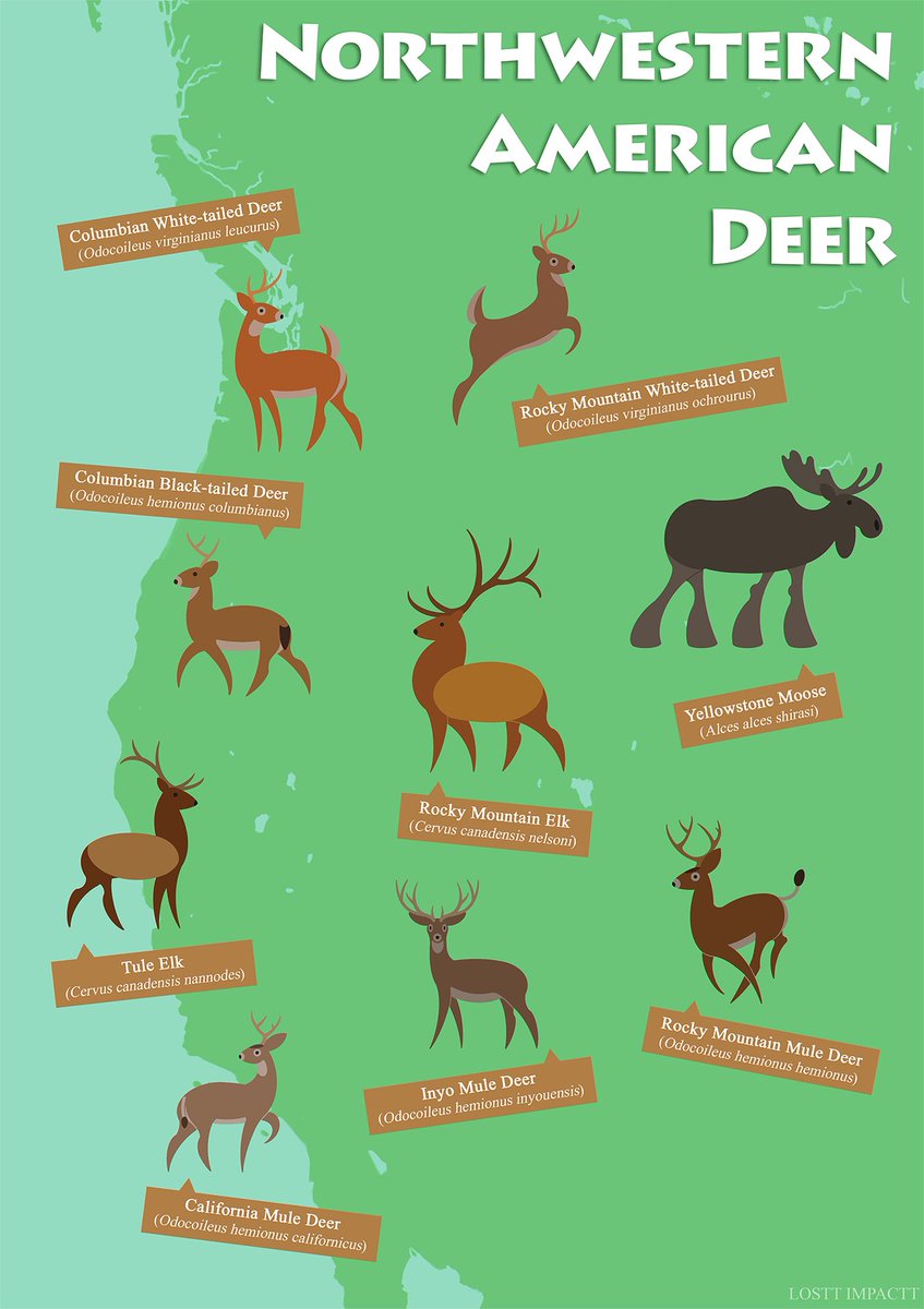 losttimpactt -MOVED TO BLUER SKIES- tweet media