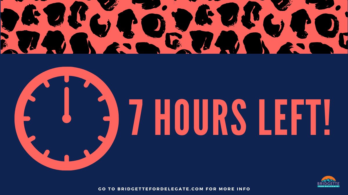 iamqueencheetah's tweet photo. 7 hours left to vote #BridgetteBus! https://t.co/aifwfAoYl9