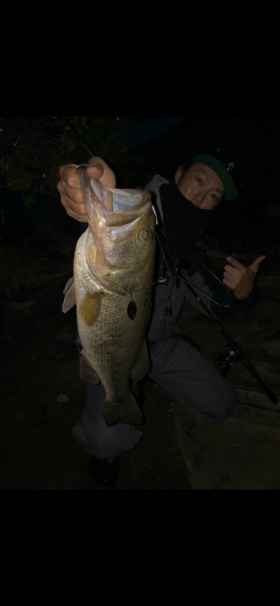 kawaguchi_gucch's tweet photo. 淀川、6時過ぎ、アラバマにて50UP‼️
興奮した!!
#ジークラック #ステルス5 #ラパラ #釣り #fishing #pesca #jigging #ジギング #タイラバ #tairubber #ショアジギング #エリアトラウト #釣り好きな人と繋がりたい #エギング #バス釣り #ブラックバス #琵琶湖 #淀川バス釣り #bassfishing https://t.co/NmII8RtuXT