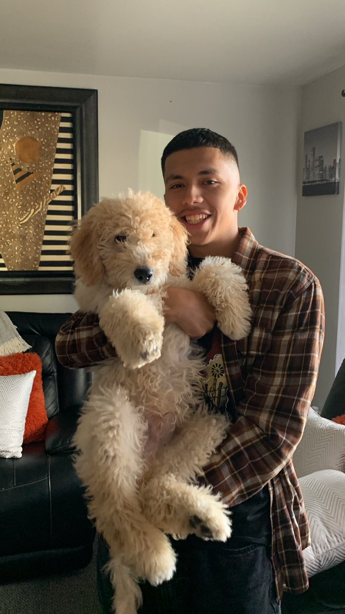 mimiioxoo's tweet photo. My boys 🥰 https://t.co/PvkGzsAKj5