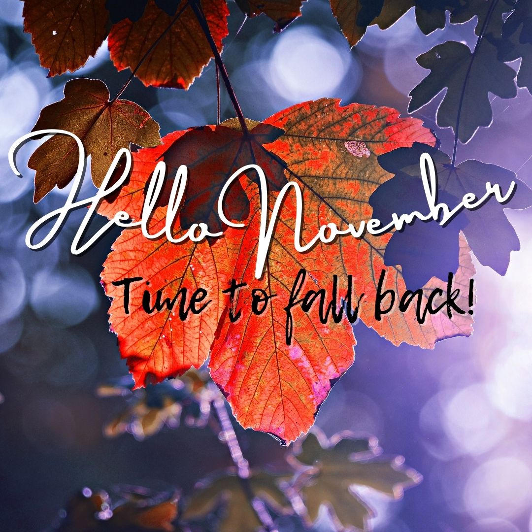 LadiesPOVpod's tweet photo. Good evening everybody! We've made it to November, the second to last month of the year. Fall is here, time goes back next week, and we're in the thick of sports. Are you ready for the holidays? Let us know! #holidays #fall https://t.co/mQYWeFdOxT