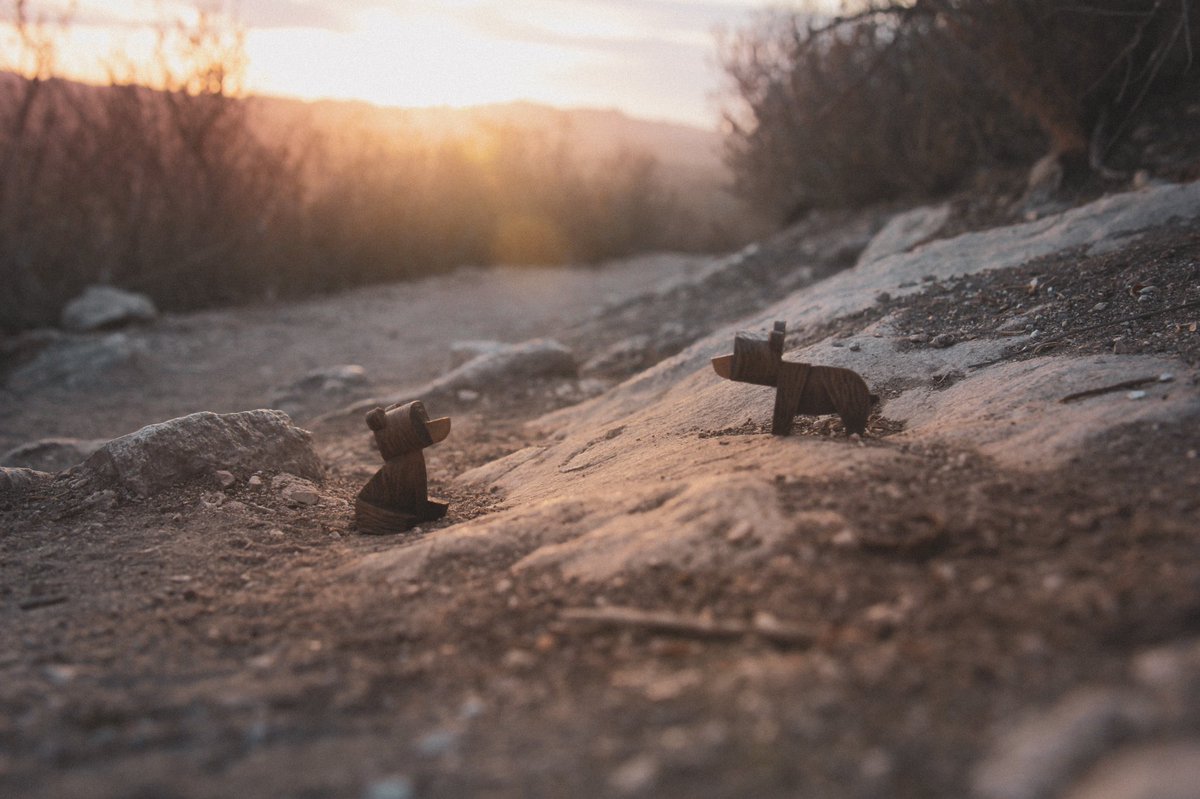 These whittle cubs are enjoying the first day of November!   #bears #whittlebears #grizzly #woodcarved #midcentury #whittlewilderness #nationalparks #seeamerica #forests #nature