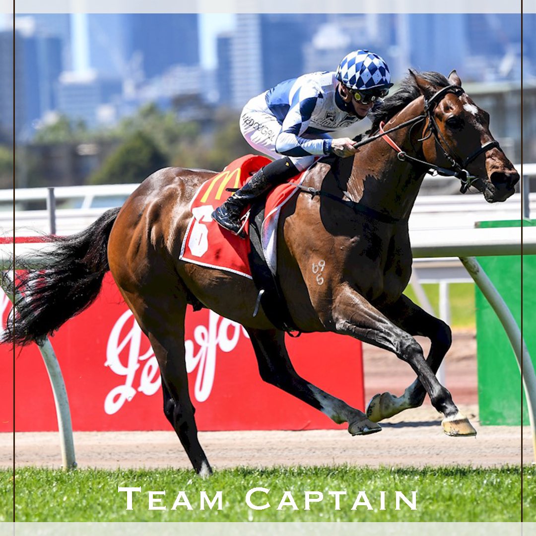 CumaniRacing's tweet photo. Team Captain 💫 
(Galileo x Remember When)
What a fantastic win for the VIC Husslers &amp; @TheRacingLeagu3 taking a win on cup day @FlemingtonVRC 
Wonderful ride by @BlaikeMc 
Congratulations to all involved!!
T: @CumaniRacing https://t.co/XlvG0SMthU