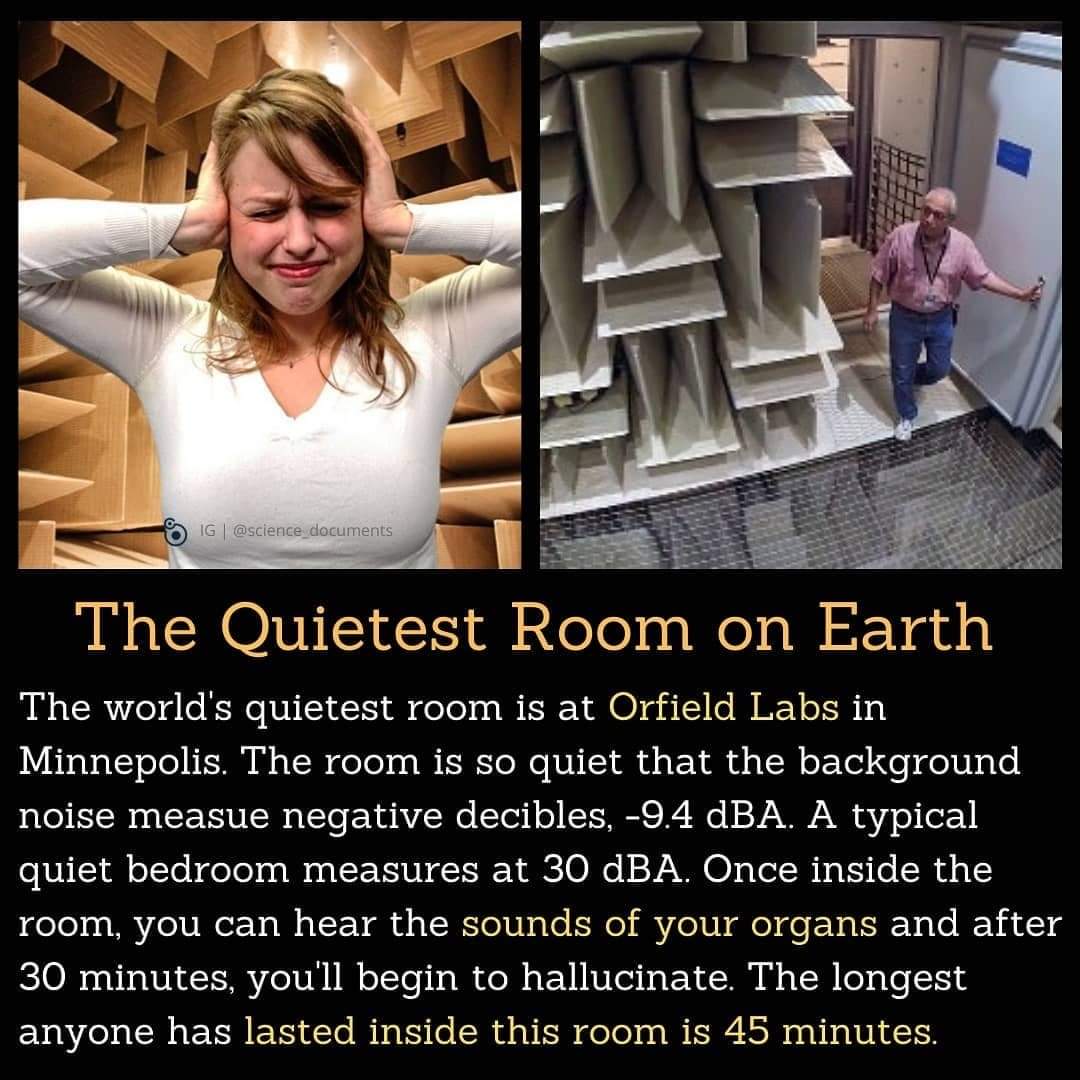 Damn... 🤯 kinda want to experience this tho... WHO WOULD DO IT??? 👇👇👇👇

#iamcarnagebodybagg #carnagebodybagg #carnage #bodybagg #ex #ugh #ohio #rap #hiphop #commentbelow #whatsyourthoughts #quiet #quiettime #quietroom #quitestroomintheworld #wow #crazy #statthat #woah