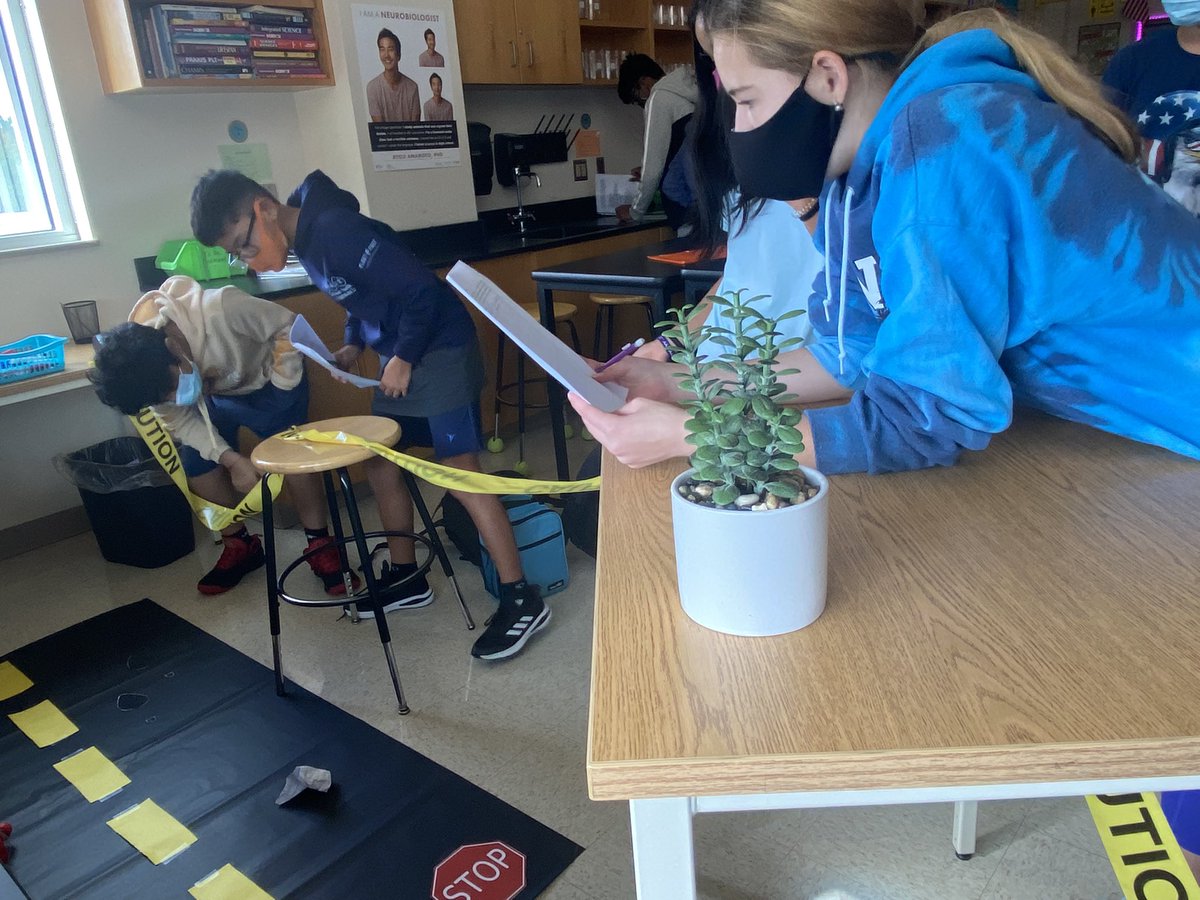 Freeman7Science's tweet image. Never a dull moment in science class! Ss became investigators and had to investigate a crime scene, read eye witness statements, and analyze hair samples to determine the crime and who caused the crime. #OneMillsPark #7Science #Fun