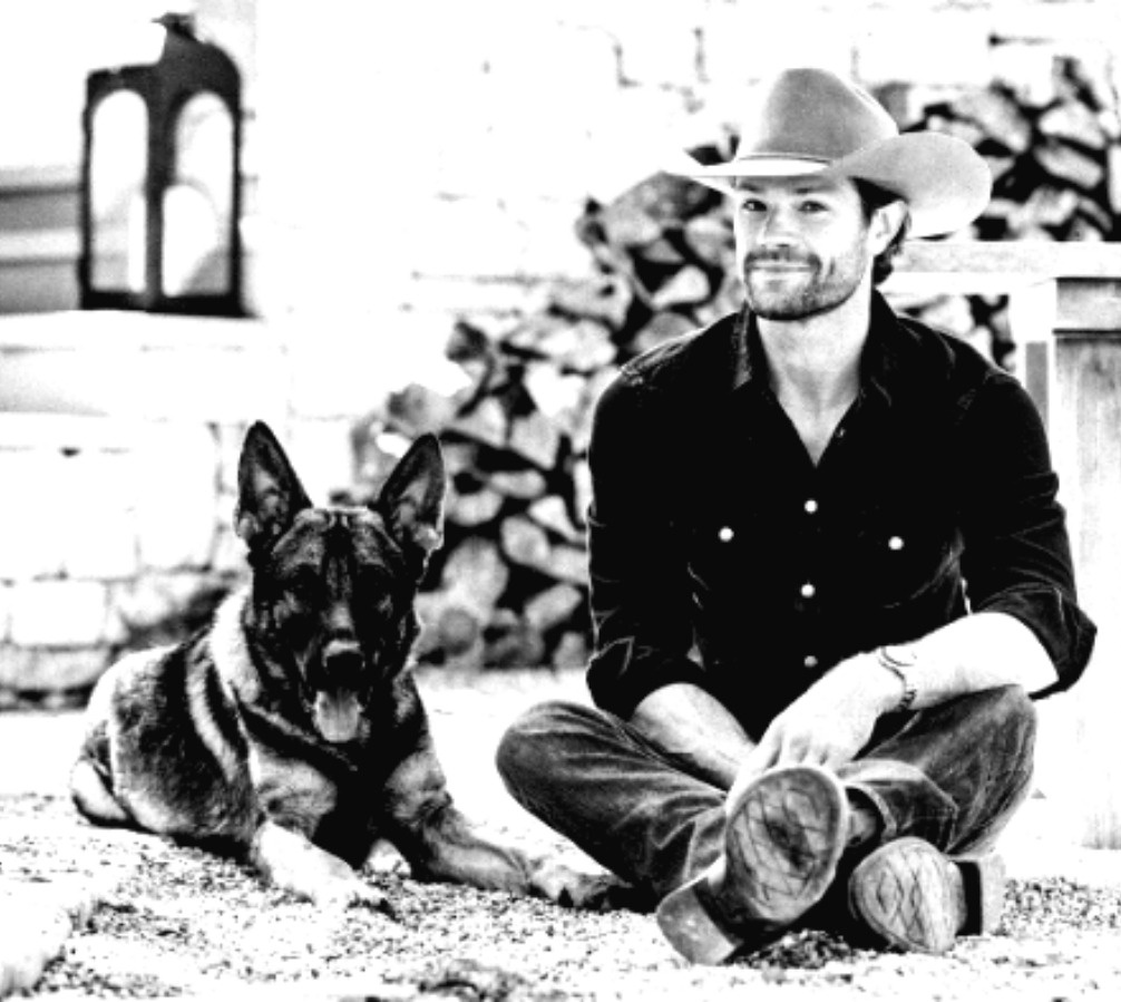 ᵇᵉˢᵗ ʲᵃʳᵉᵈ´ˢ ᵖᶦᶜˢ (@bestjaredspics) on Twitter photo 